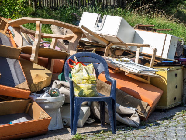 Best Dumpster Rental Services  in Robbinsdale, MN