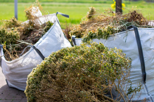 Debris Removal in Robbinsdale, MN